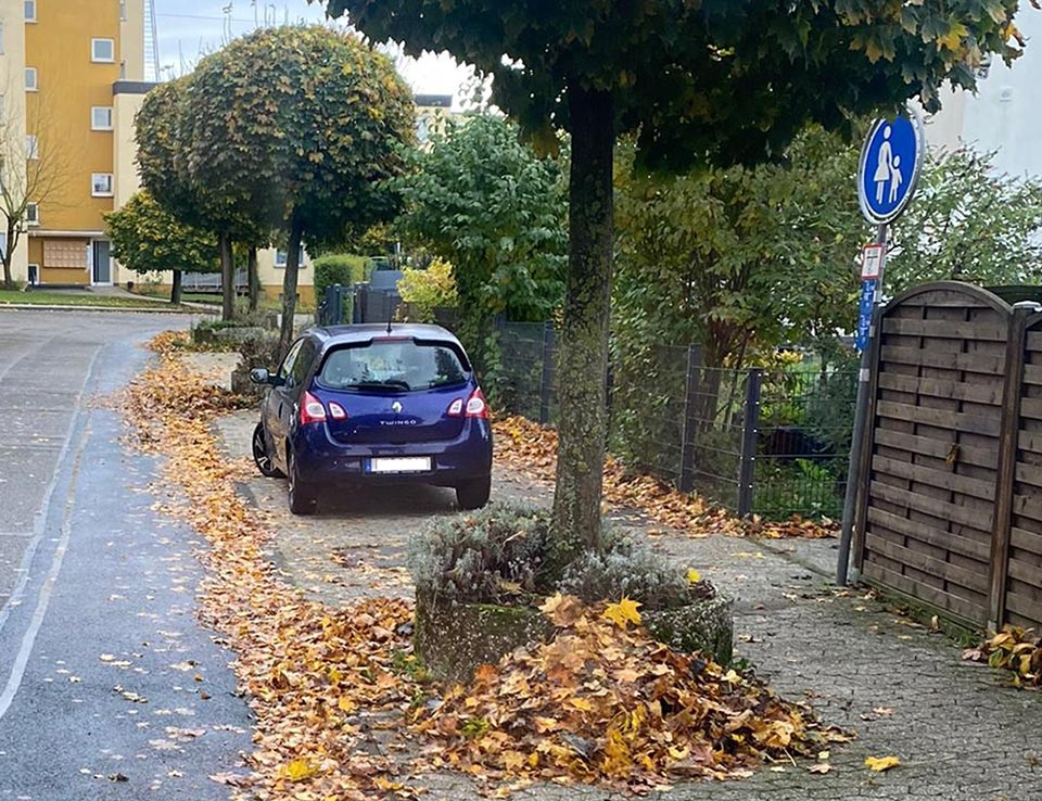 Herbstlaub auf Gehwegen und Straßen wird von den SBN beseitigt.