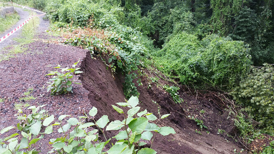 Servicebetriebe Neuwied: Erdrutsch im Waschbachtal Feldkirchen - Der Weg ist gesperrt