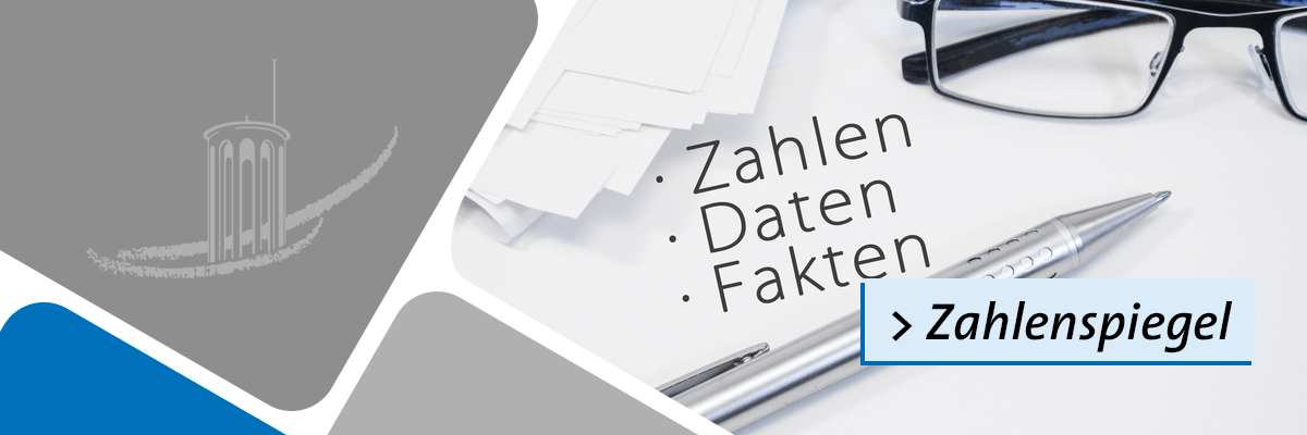 Servicebetriebe Neuwied (SBN): Informationen - Zahlenspiegel